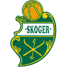 Skoger fotball